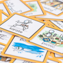INTRODUCING...NEW Activities and Places Visuals