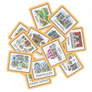 INTRODUCING...NEW Activities and Places Visuals