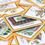 Activities Visuals