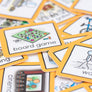 Activities Visuals