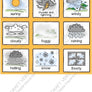 WEATHER AND SEASONS VISUALS - PDF Version