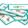 Sanitary Pad Visual Set